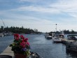 Thumbs/tn_A-bay 6-06_0218.jpg